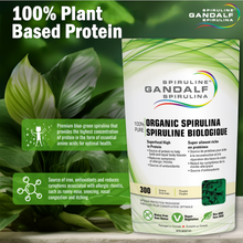 Load image into Gallery viewer, Organic Spirulina powder - Gandalf