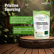 Load image into Gallery viewer, Organic Spirulina powder - Gandalf
