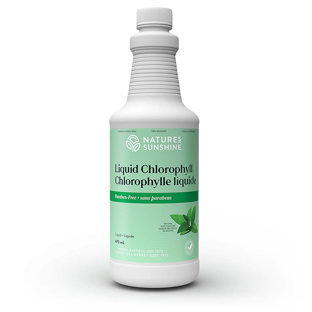 Liquid Chlorophyll 473 mL Natural Mint Flavour